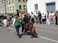 2006.04.23 - St.Georgsritt (039).JPG