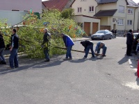 2006.04.30 - Maibaum (20).JPG