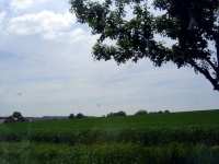 2006.06 - Reichelsburgfest (Aufbau) (27).JPG