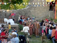 2006.06.17 - Reichelsburgfest (002).JPG
