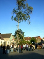 2007.04.30 - Maibaumaufstellen (16).JPG