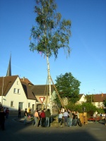 2007.04.30 - Maibaumaufstellen (17).JPG
