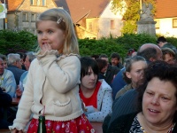 2007.04.30 - Maibaumaufstellen (74).JPG