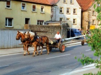 1993.04.30 - Maibaum (2).jpg