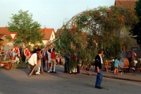 1993.04.30 - Maibaum (6).jpg