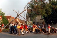 1993.04.30 - Maibaum (7).jpg
