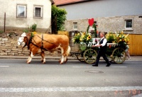 2001.07.21 - Hochzeit Flo_Edith (32).jpg