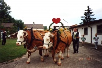 2001.07.21 - Hochzeit Flo_Edith (37).jpg