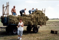 2001.09 - Heuaktion bei Siggi (3).jpg