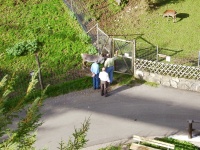 2001.10.13 - Schwarzwald, Musikausflug (60).JPG
