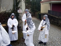 2009.02 - Faschingsumzüge (13).JPG