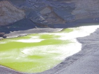2002.01.19-01.26 - Urlaub auf Lanzarote mit der Mu (018).JPG