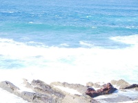 2002.01.19-01.26 - Urlaub auf Lanzarote mit der Mu (023).JPG