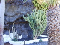2002.01.19-01.26 - Urlaub auf Lanzarote mit der Mu (039).JPG