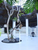 2002.01.19-01.26 - Urlaub auf Lanzarote mit der Mu (042).JPG