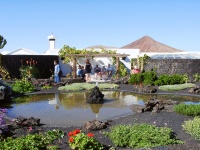2002.01.19-01.26 - Urlaub auf Lanzarote mit der Mu (044).JPG