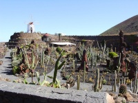 2002.01.19-01.26 - Urlaub auf Lanzarote mit der Mu (050).JPG