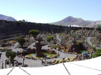 2002.01.19-01.26 - Urlaub auf Lanzarote mit der Mu (052).JPG
