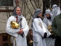 2009.02 - Faschingsumzüge (61).JPG