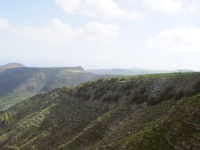 2002.01.19-01.26 - Urlaub auf Lanzarote mit der Mu (102).JPG