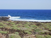 2002.01.19-01.26 - Urlaub auf Lanzarote mit der Mu (106).JPG