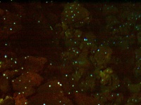 2002.01.19-01.26 - Urlaub auf Lanzarote mit der Mu (109).JPG