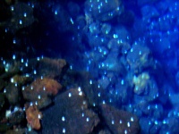 2002.01.19-01.26 - Urlaub auf Lanzarote mit der Mu (110).JPG