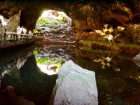 2002.01.19-01.26 - Urlaub auf Lanzarote mit der Mu (112).JPG