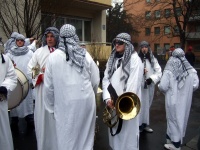 2009.02 - Faschingsumzüge (65).JPG