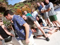 2002.01.19-01.26 - Urlaub auf Lanzarote mit der Mu (128).JPG