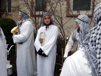 2009.02 - Faschingsumzüge (70).JPG