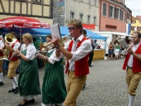 2007.08.19 - Kirchweihumzug Aub (08).JPG