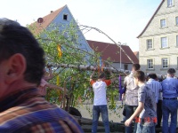 2005.04.30 - Maibaum (07).JPG