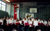 2005.06.05 - Bundesbezirksmusikfest Hesselbach (3).jpg