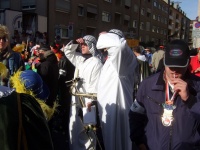 2008.01.29 - Faschingsumzug (14).JPG