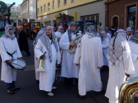 2008.01.29 - Faschingsumzug (15).JPG