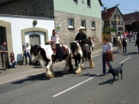 2008.04.27 - St.Georgs-Ritt (087).JPG
