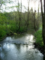 Impressionen - Die Gollach (01).JPG