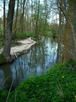 Impressionen - Die Gollach (03).JPG