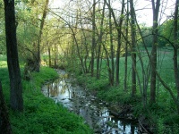 Impressionen - Die Gollach (04).JPG