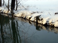 Impressionen - Die Gollach (12).JPG