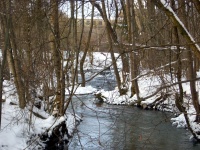 Impressionen - Die Gollach (13).JPG