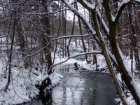 Impressionen - Die Gollach (15).JPG