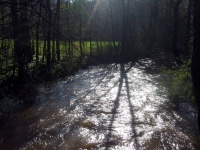 Impressionen - Die Gollach (17).JPG