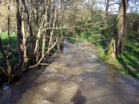 Impressionen - Die Gollach (20).JPG
