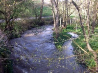 Impressionen - Die Gollach (23).JPG