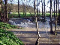 Impressionen - Die Gollach (26).JPG