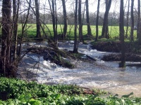 Impressionen - Die Gollach (28).JPG