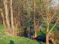 Impressionen - Die Gollach (29).JPG