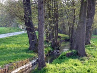 Impressionen - Die Gollach (30).JPG